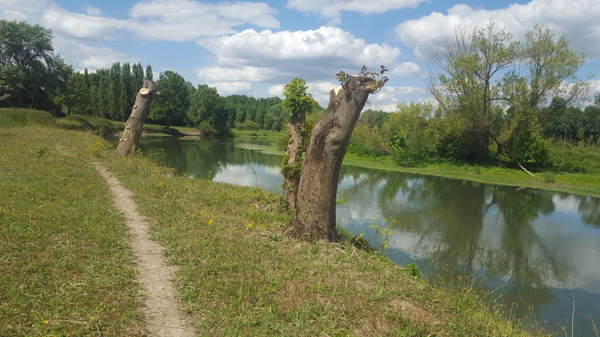 Gite Angers Proche Briollay Εξωτερικό φωτογραφία